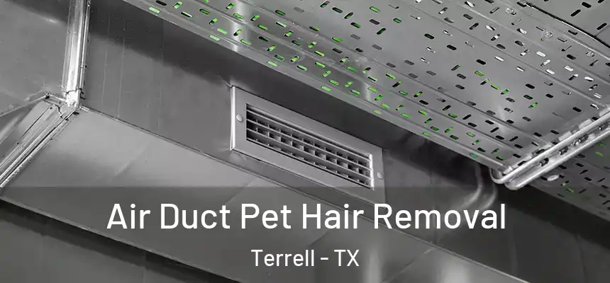  Air Duct Pet Hair Removal Terrell - TX