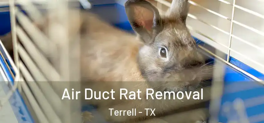  Air Duct Rat Removal Terrell - TX