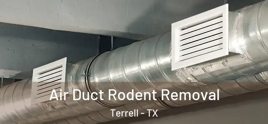  Air Duct Rodent Removal Terrell - TX