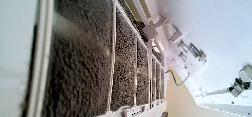 Preventive Air Duct Bacteria Removal in Terrell