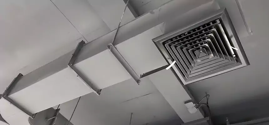 Restorative Allergy Relief Vent Cleaning – Coil, Blower & Housing Detail in Terrell