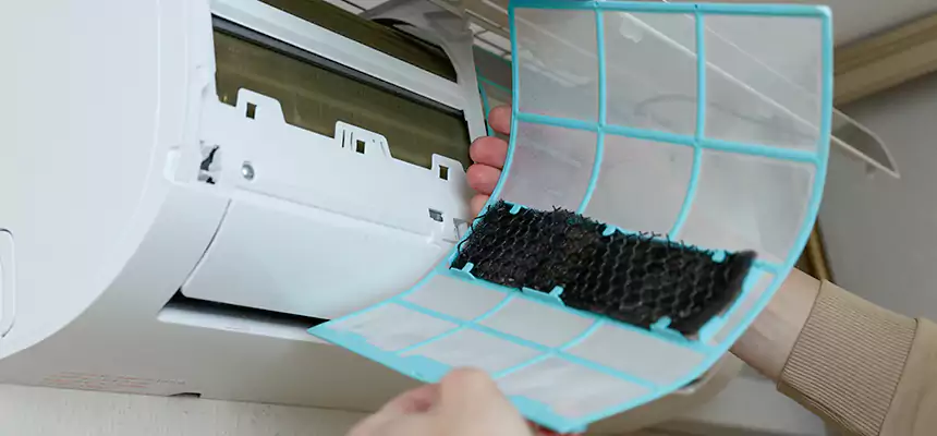 Gentle Ductwork Odor-Control Pet Dander Duct Cleaning in Terrell, TX