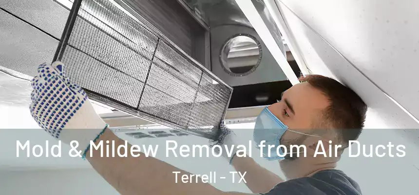  Mold & Mildew Removal from Air Ducts Terrell - TX