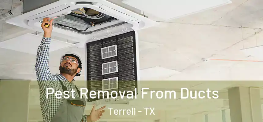  Pest Removal From Ducts Terrell - TX