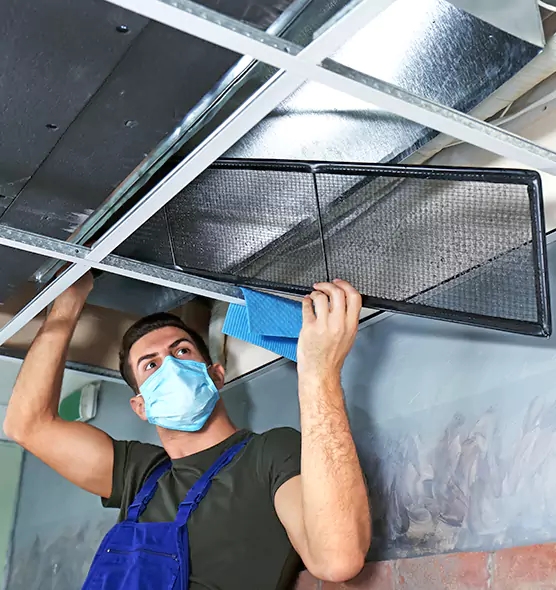 About Air Duct Bacteria Removal in Terrell