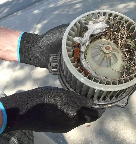 About Air Duct Rat Removal in Terrell, TX