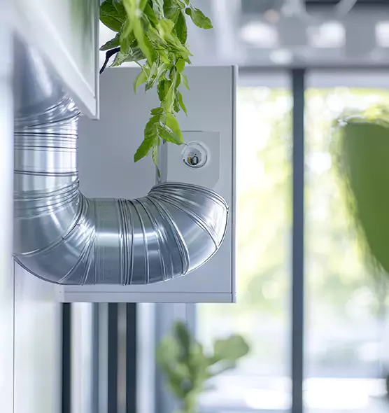 Professional Eco-Friendly Duct Cleaning Services in Terrell, TX