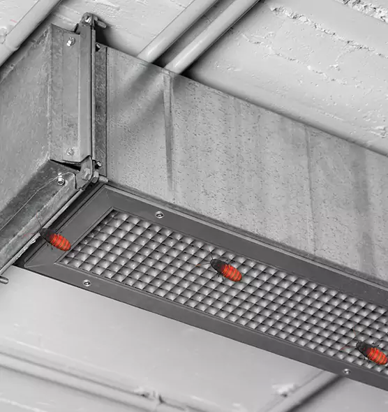 Affordable Insect Removal from Air Ducts in Terrell, TX