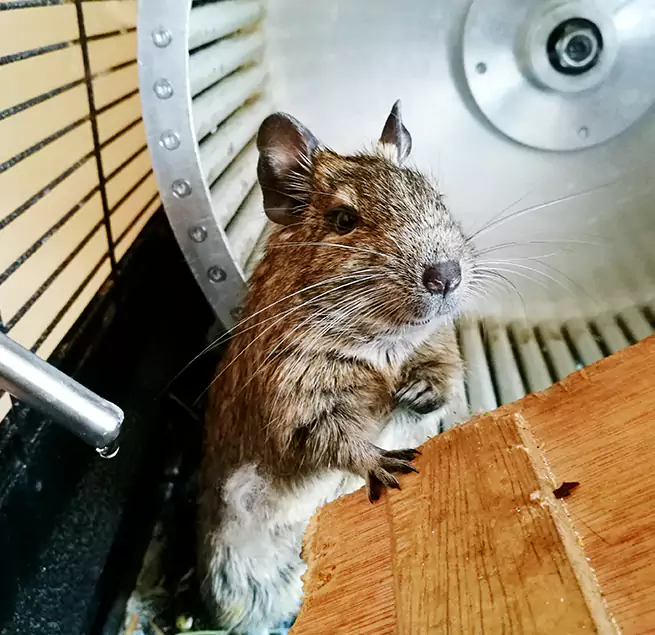 Why Homeowners & Businesses Trust Us Terrell, TX?