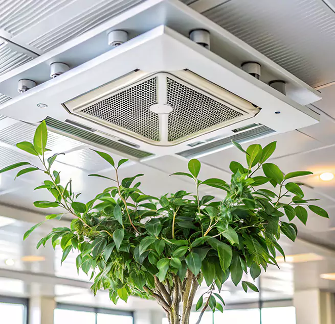 Why Homeowners & Businesses Trust Us in Terrell, TX?